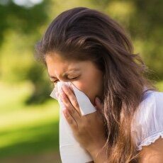 Allergy.jpeg