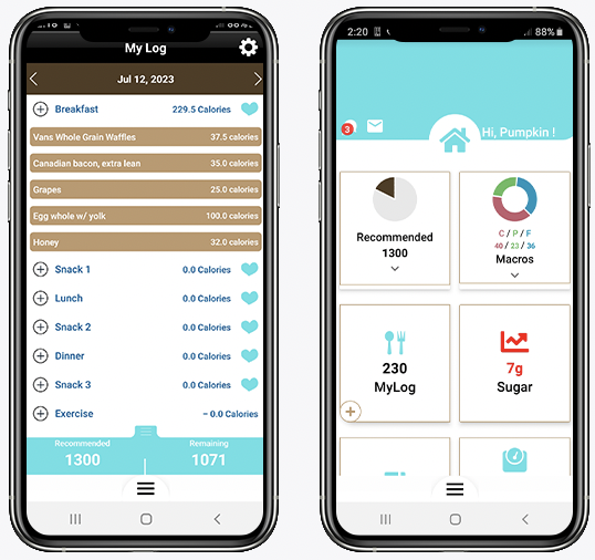 toyourhealthmealplan